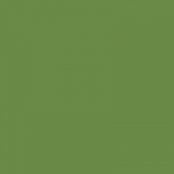 BS381-218 Grass Green Aerosol Paint
